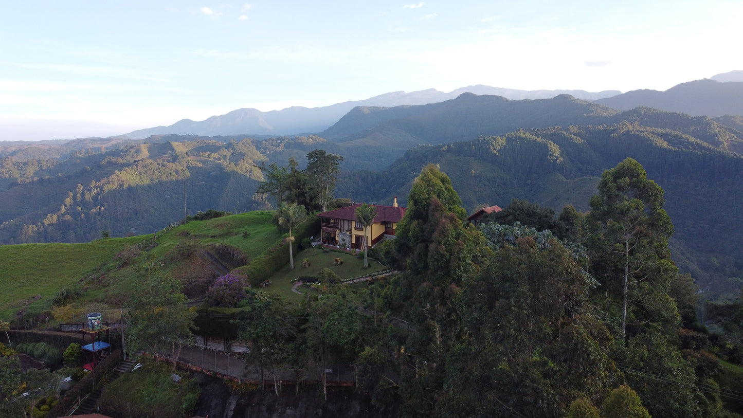 Colombia Coffee Axis Ayahuasca Retreat